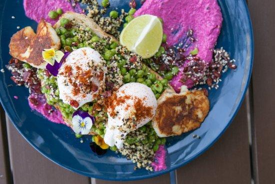 Arrows & Sparrows Cafe and More